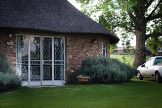 Suikerbosskuur Rondavel & Chalet - Amsterdam - 8
