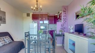 T 2 tout confort avec terrasse vue mer et montagne. - 9