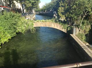 LES LAURIERS - LʼIsle-sur-la-Sorgue - 9
