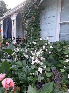 Adley House - Oudtshoorn - 1