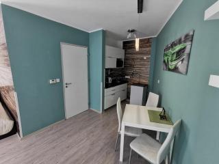 Apartmán Mustang Klínovec - Loučná pod Klínovcem - 3