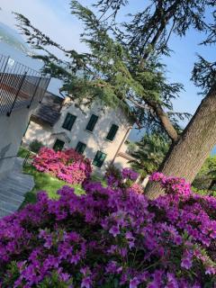 Giardini MAGNOLIA - Belgirate - 0