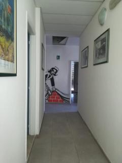Kristalex Pet Family Hotel - Cesenatico - 4