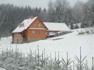 Chata u lesa - Výprachtice - 5
