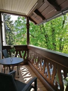 Villa Steiermark - 1