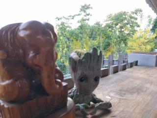 Teak villa - Thoeng - 3