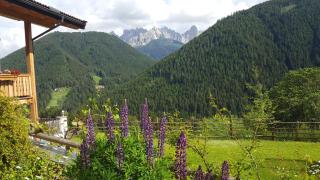 Kellnerhof - 6
