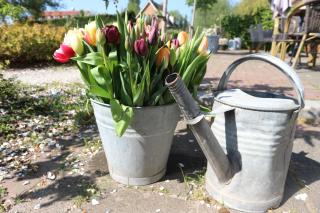 B&B - Pension Het Oude Dorp - Katwijk - 7