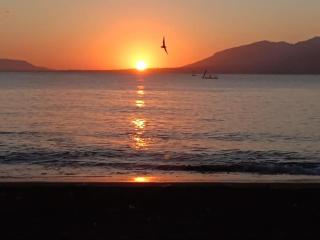 Sunrise Banyuwangi Homestay - 6