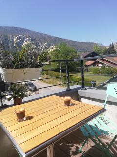 Appartement pieds dans l'eau - Doussard - 1