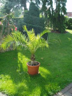 Ferienwohnung "Am Geiseltal" - 6