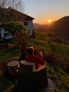 Kräuterhof Miesrigl - Losenstein - 5