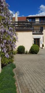 Bed & Breakfast Hotel Müllerhof - Caputh - 9