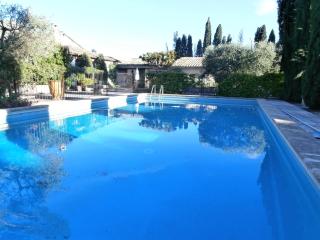 Les grands pins - Saint-Andiol - 9