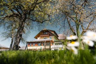 Pension Glitschnerhof - Aigen im Ennstal - 6