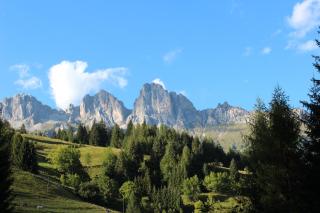 Hotel Cime d'Auta - Falcade - 9