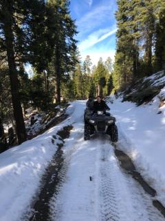 sequoia National Forest CabinH - Panorama Heights - 6