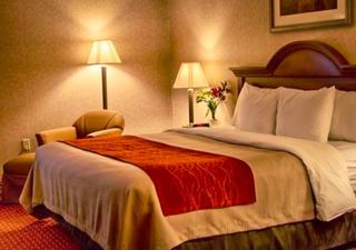 Comfort Inn Pocono Lakes Region - Lake Ariel - 2