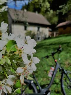 Ferienhaus Hirschnest - 1