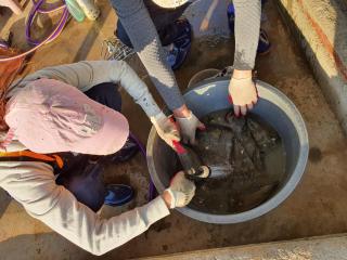 Yonghyun's house - 1