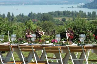 Koczor Winery & Guesthouse - 6