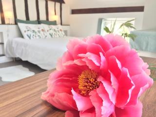 Les gîtes du Clos Saint-Martin - 2