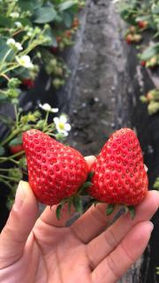 Auto City Ruili Hotel - 7