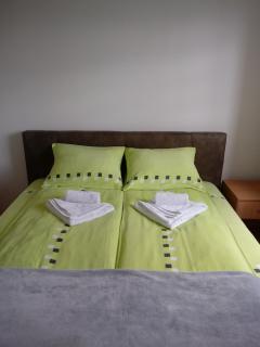 Apartments Vila Velickovic - Zlatibor - 9