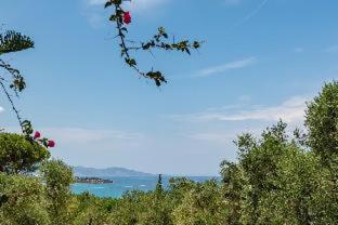 Ionian Aura - Tsilivi - 5