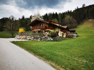Ferienhaus Elisabeth - Forstau - 7