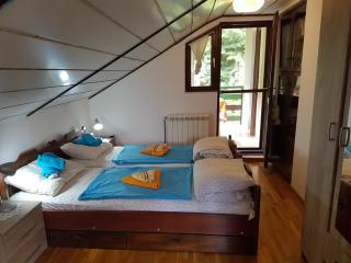 Nena & Rale Rooms - Donji Milanovac - 8