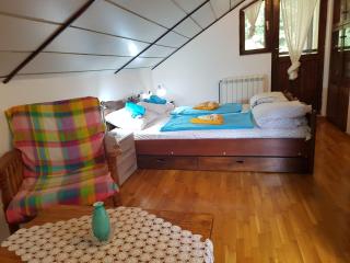 Nena & Rale Rooms - Donji Milanovac - 3