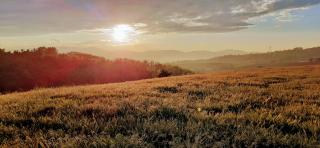 Une pause sur la colline - Saint-Romain-de-Surieu - 3