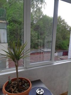 Florin Apartament - Sighişoara - 5