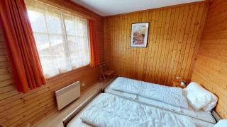 Triantha TR0 - Blatten bei Naters - 5