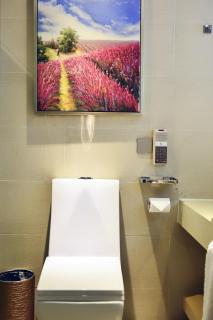 Lavande Hotel Xining Haihu New District Wanda Plaza - 7