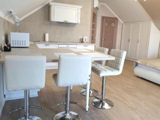 Apartment Sweethome 3 FREE PARKING - Užhorod - 4