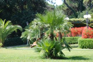 Park Hotel Marinetta - Beach & Spa - 9