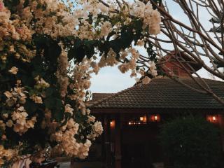 Baan Mai Sak - Pai - 8