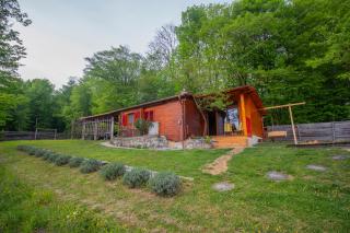 Log cabin Silec - Šmarje pri Jelšah - 5