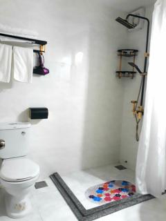 AVA Hotel & Apartment - Đà Nẵng - 2