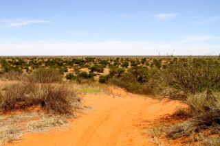 Zebra Kalahari Lodge - Hoachanas - 3