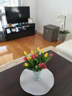 Apartment Moon Island - Pag - 3