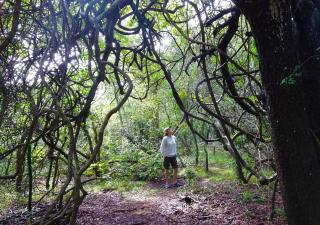 The Grand Luxury Safari Villa - 5