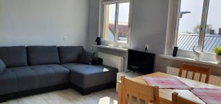 Apartament i Pokoje Gościnne MUSZELKA - 7