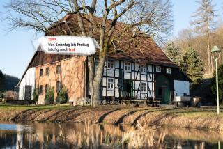 Suffelmühle - Bad Driburg - 7