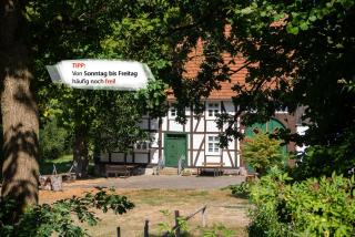 Suffelmühle - Bad Driburg - 8