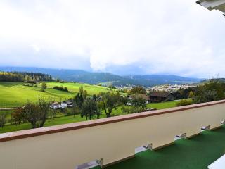 Villa in Bavaria near Ski Trails & Sauna - Lam - 4