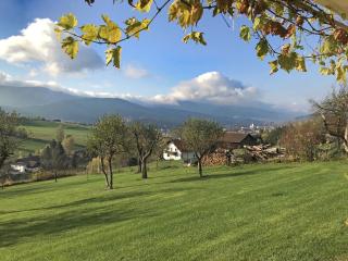 Villa in Bavaria near Ski Trails & Sauna - Lam - 5