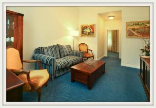 Villa Patriot Boutique Hotel - Mariánské Lázně - 9
